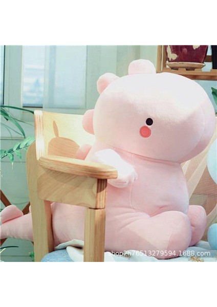 40CM Sevimli Dinozor Peluş Oyuncak (Yurt Dışından) indirimleri