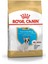 French Bulldog Junior Köpek Maması - 3 kg 2