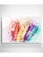 Renkli Kuş Tüyü Cam Tablo, Dekoratif Cam Tablo 1