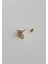 Yaprak Tragus 4