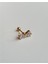 Fiyonk Tragus 1
