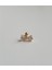 Fiyonk Tragus 2
