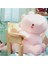 40CM Sevimli Dinozor Peluş Oyuncak (Yurt Dışından) 5
