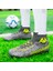 Erkek Futbol Ayakkabısı - Sarı (Yurt Dışından) 2