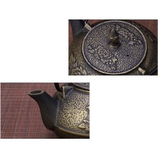Haitn 900 ml Dökme Demir Çaydanlık Seti Japon Çay Potu Kettle Emaye Kung Fu Demlikler Süzgeç Net Filtresi ile Metal | Çaydanlıklar (Şakayık) (Yurt Dışından)