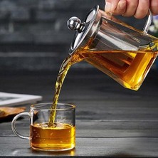 Haitn Isıya Dayanıklı Cam Çaydanlık Paslanmaz Çelik Çay ile Demlik Filtre Çiçek Çay Kettle Kung Fu Çay Seti Puer Oolong Çaydanlık | Çaydanlıklar (Yurt Dışından)