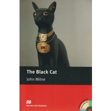 The Black Cat: Elementary Macmillan Publishers