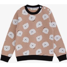 Breeze Kız Çocuk Sweatshirt Ayıcık Desenli 1.5-5 Yaş, Bej