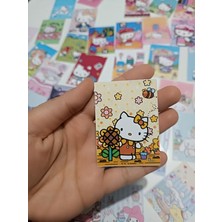 EyER Shoping Sanrio Hello Kitty Çek Kopart Sticker Kitabı 45 Adet Büyük