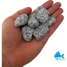 Atılım Akvaryum Granit Çakıl Taşı Akvaryum Taşları 2-3cm