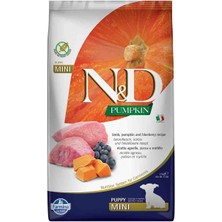 Nd Pumpkin Tahılsız Bal Kabaklı Kuzu Etli Yaban Mersinli Küçük Irk Yavru Köpek Maması 2.5 kg