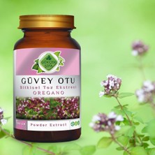 Gökçek Şifa Güvey Otu (Oregano) Toz Ekstresi 100 gr Cam Kavanoz