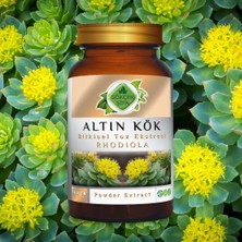 Gökçek Şifa Altın Kök (Rhodiola) Toz Ekstresi 100 gr Cam Kavanoz