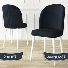 Aste Serisi 2 Adet Mutfak Sandalyesi Metal Beyaz Iskeletli 1. Sınıf Babyface Kumaş