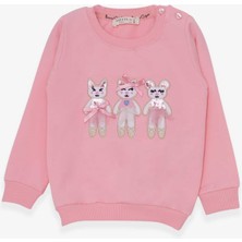 Breeze Kız Çocuk Sweatshirt Sevimli Hayvancıklar Baskılı 1.5-5 Yaş, Pudra