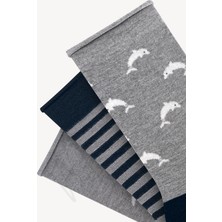 Mono Socks 3'lü Yunus Desenli Lastiksiz Bambu Çorap
