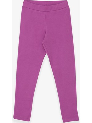 Breeze Kız Çocuk Tayt Basic 8-14 Yaş, Mor
