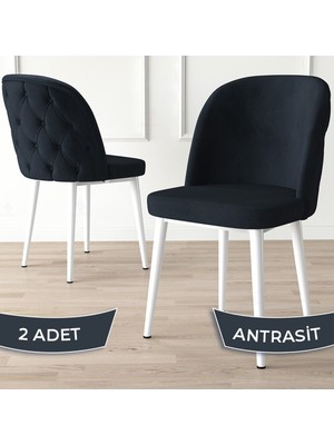 Canisa Concept Kage Serisi 2 Adet Mutfak Sandalyesi Kapitoneli Beyaz Metal Ayak 1. Sınıf Babyface Kumaş