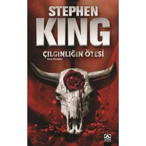 Çılgınlığın Ötesi - Stephen King
