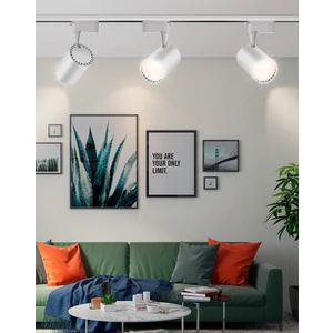Led Projem 30W LED Ray Spot Beyaz Kasa 3'lü Set ve 1 Metre Beyaz Ray