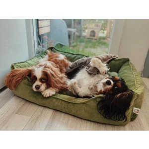 Patili Evler Köpek Yatağı Büyük Boy 65X85 cm Karışık Renklerde Gönderilecektir