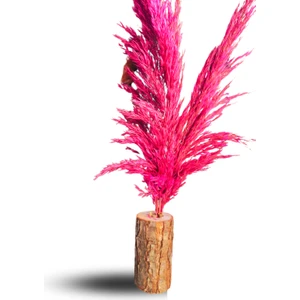 Pembe Dekoratif Doğal Pampaslı Kütük Saksılık, Etkinlik, Düğün & Eğlence Masa Süs & Dekor