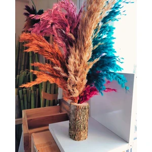 Karışık Dekoratif Doğal Pampaslı Kütük Saksılık, Etkinlik, Düğün & Eğlence Masa Süs & Dekor