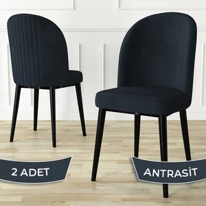 Aste Serisi 2 Adet Mutfak Sandalyesi Metal Siyah Iskeletli 1. Sınıf Babyface Kumaş