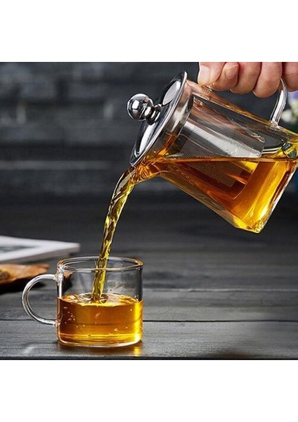 Isıya Dayanıklı Cam Çaydanlık Paslanmaz Çelik Çay ile Demlik Filtre Çiçek Çay Kettle Kung Fu Çay Seti Puer Oolong Çaydanlık | Çaydanlıklar (Yurt Dışından)