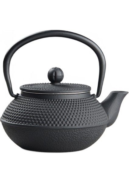 300 ml Japon Demir Çay Potu Paslanmaz Çelik ile Demlik Dökme Demir Çay Tapot Çay Su Isıtıcısı Kaynar Su Oolong Set Hediye Siyah | Çaydanlıklar (Yurt Dışından)
