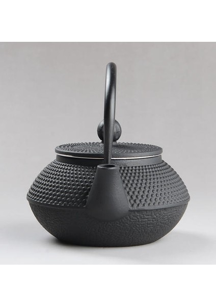 300 ml Japon Demir Çay Potu Paslanmaz Çelik ile Demlik Dökme Demir Çay Tapot Çay Su Isıtıcısı Kaynar Su Oolong Set Hediye Siyah | Çaydanlıklar (Yurt Dışından)