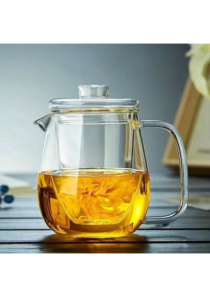 Yüksek Borosilikat Cam Çiçek Çay Potu Isıya Dayanıklı Cam Demlik Filtre Çay Sürahisi ile Ev Çay Makinesi | Çaydanlıklar (Yurt Dışından)