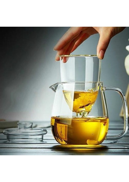 Yüksek Borosilikat Cam Çiçek Çay Potu Isıya Dayanıklı Cam Demlik Filtre Çay Sürahisi ile Ev Çay Makinesi | Çaydanlıklar (Yurt Dışından)