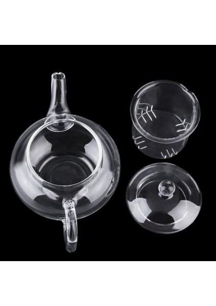 Şeffaf Çaydanlık Isıya Dayanıklı Cam Çaydanlık Çin Demliklü Kahve Çiçek Çay Yaprak Bitkisel Pot 250 ml Dayanıklı Su Isıtıcısı Hediye | Çaydanlıklar (Yurt Dışından)