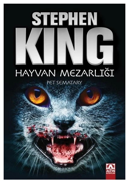 Hayvan Mezarlığı - Stephen King