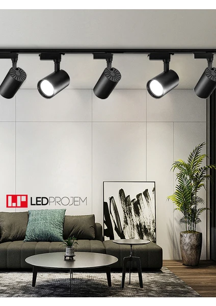 Led Projem 30WLED Ray Spot Siyah 5'li Set