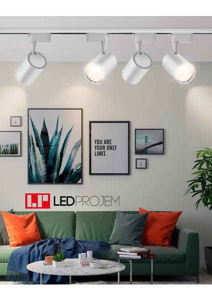 30W LED Ray Spot Beyaz 4 Adet ve 1 Metre Ray Set