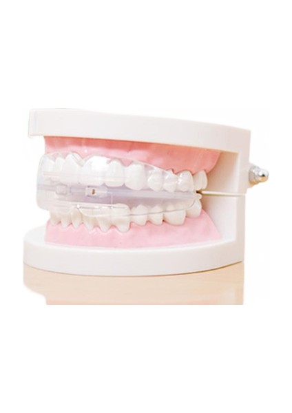 Yeni Diş Dişleri Ortodonti Cihaz Antrenör Yetişkin Parantezi Için Hizalama (Yurt Dışından)