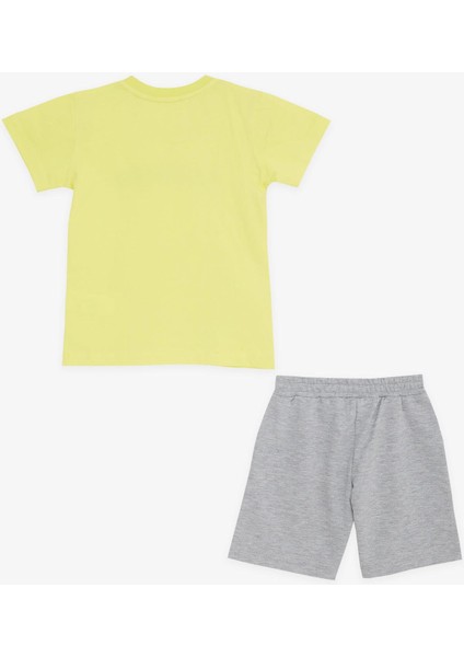 Girls & Boys Erkek Çocuk Şortlu Takım Yaz Temalı Sörfçü Hayvanlar Baskılı 1-4 Yaş, Sarı fiyatları