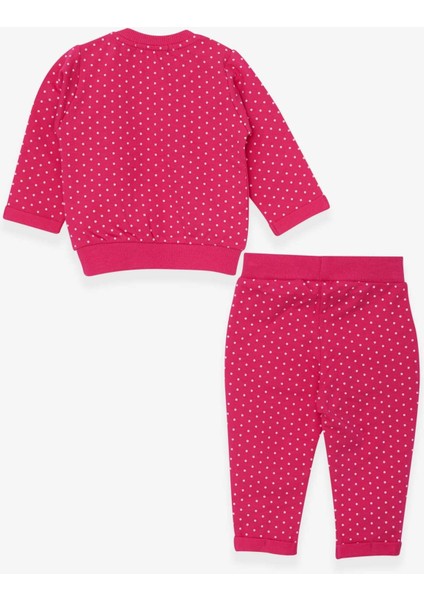 Kız Bebek Eşofman Takımı Puantiyeli Simli Baskılı 6 Ay-2 Yaş, Pembe