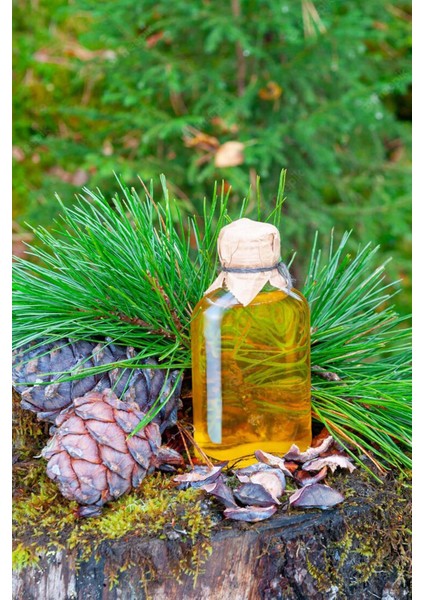 Çam Terebentin Uçucu Yağı 50 ml %100 Saf ve Doğal Pine Turpentine Essential Oil