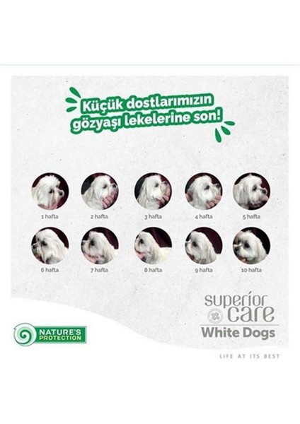 Superior Care White Dogs Tahılsız Alabalıklı Yetişkin Beyaz Köpek Maması 1.5 kg