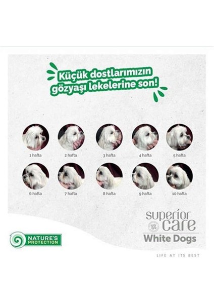 Superior Care White Dogs Tahılsız Alabalıklı Yetişkin Beyaz Köpek Maması 10 kg