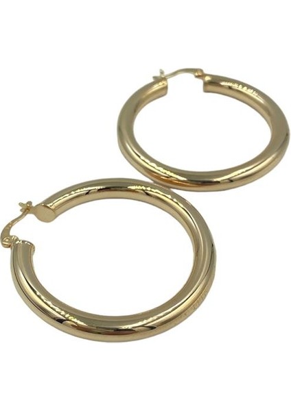 Kadın Gümüş Rose Halka Küpe