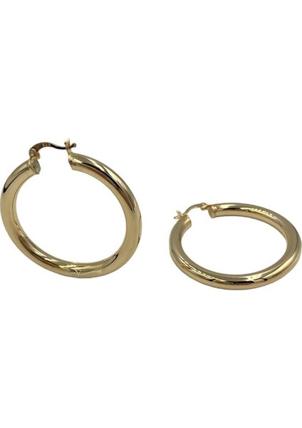 Kadın Gümüş Rose Halka Küpe fiyatları