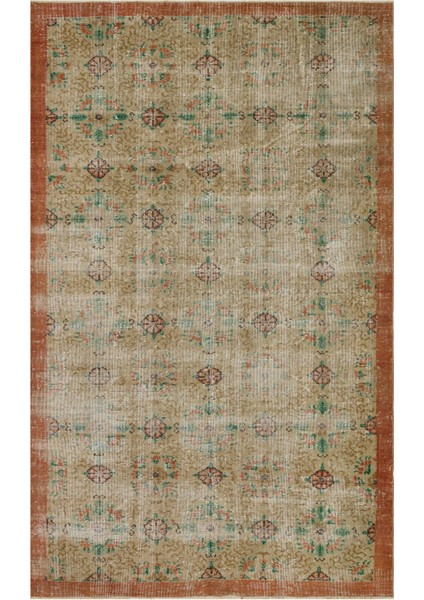 Şaşırtıcı Vintage Eskitme Halı - 165X270 cm 9911