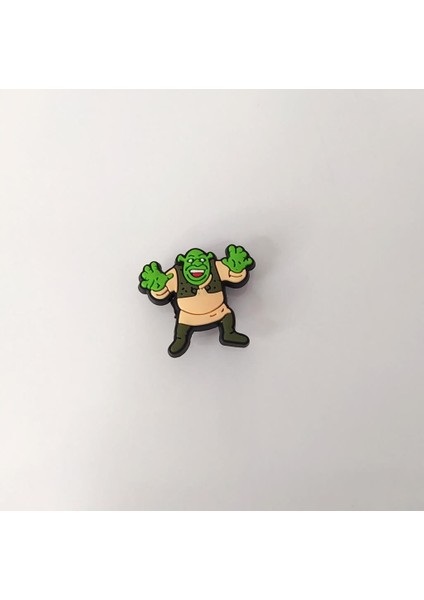 Terlik Ayakkabı Sandalet Süsü Shrek 1 Adet Silikon Kız Erkek Aksesuar Hediye modelleri