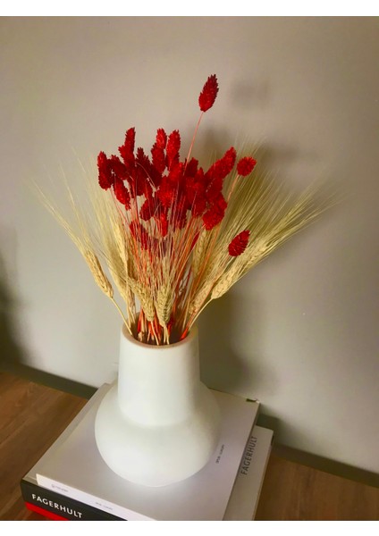 Ev Dekor Dekoratif Büyük 21X17 cm Göbek Vazo Beyaz Kuru Çiçek Pampas Vazosu