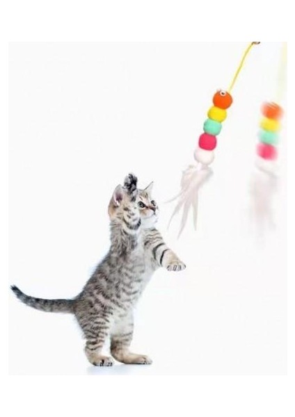 Kendinden Yapışkanlı Kedi Oyun Oltası Elastik Tüylü Kedi Oyuncağı Çıngıraklı Kedi Oyun Oltası 2 Metre Ayarlanabilir Ölçü fiyatları