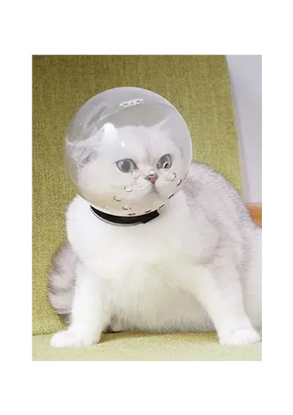 Kedi Bakım Ve Koruma Küresi fiyatları